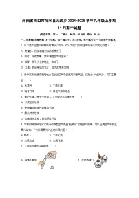河南省周口市商水县大武乡2024-2025学年九年级上学期11月期中化学试卷（学生版）