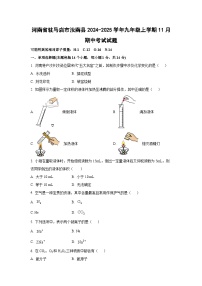 河南省驻马店市汝南县2024-2025学年九年级上学期11月期中考试化学试卷（学生版）