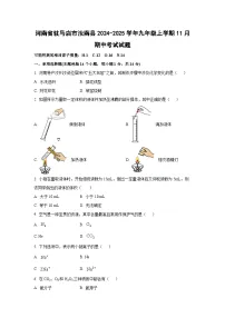 河南省驻马店市汝南县2024-2025学年九年级上学期11月期中考试化学试卷（学生版）