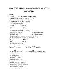 河南省驻马店市泌阳县2024-2025学年九年级上学期11月期中考试化学试卷（学生版）