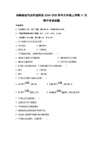 河南省驻马店市泌阳县2024-2025学年九年级上学期11月期中考试化学试卷（学生版）