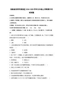 河南省洛阳市涧西区2024-2025学年九年级上学期期中考试化学试卷（学生版）