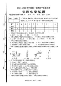 山东省淄博市临淄区2025-2026学年九年级上学期期中考试化学试题