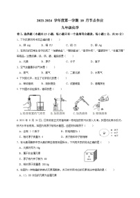 江苏省南京江北新区浦口外国语学校2023-2024学年九年级上学期10月节点作业化学试题