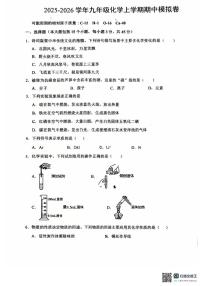广东省惠州市惠阳区第八中学2025-2026学年九年级上学期11月期中考试化学试题