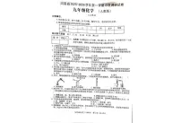 河南省郑州市新郑市2025-2026学年九年级上学期11月期中化学试题