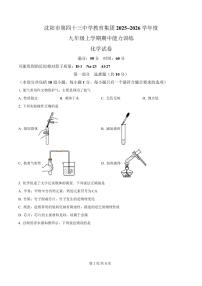 辽宁省沈阳市第四十三中学教育集团2025-2026学年第一学期九年级化学期中试卷（含答案及解析）