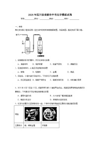 2025年四川省成都市中考化学模拟试卷（无答案）