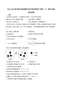 2025-2026学年四川省成都市实外西区学校九年级（上）期中化学试卷（含答案）