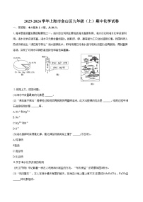 2025-2026学年上海市金山区九年级（上）期中化学试卷（含答案）
