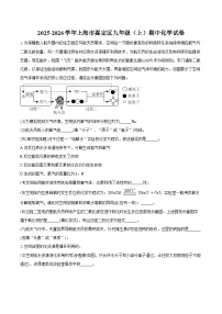 2025-2026学年上海市嘉定区九年级（上）期中化学试卷（含答案）