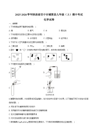 2025-2026学年陕西省汉中市城固县九年级（上）期中化学试卷（含答案）