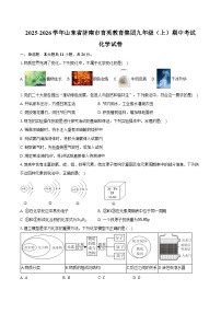 2025-2026学年山东省济南市育英教育集团九年级（上）期中化学试卷（含答案）