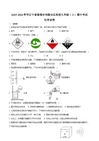 2025-2026学年辽宁省盘锦市兴隆台区两校九年级（上）期中化学试卷（含答案）