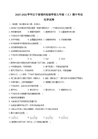 2025-2026学年辽宁省锦州实验学校九年级（上）期中化学试卷（含答案）