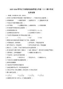 2025-2026学年辽宁省锦州实验学校九年级（上）期中化学试卷（含答案）
