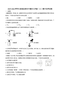 2025-2026学年江西省宜春市丰城市九年级（上）期中化学试卷（含答案）