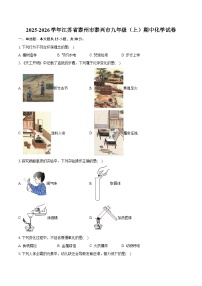2025-2026学年江苏省泰州市泰兴市九年级（上）期中化学试卷（含答案）
