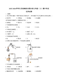 2025-2026学年江苏省南京市联合体九年级（上）期中化学试卷（含答案）