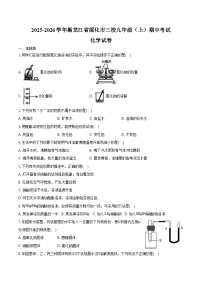 2025-2026学年黑龙江省绥化市三校九年级（上）期中化学试卷（含答案）