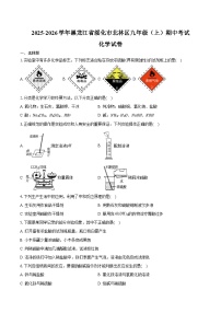 2025-2026学年黑龙江省绥化市北林区九年级（上）期中化学试卷（含答案）