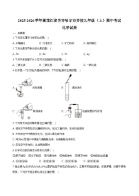 2025-2026学年黑龙江省齐齐哈尔市多校九年级（上）期中化学试卷（含答案）