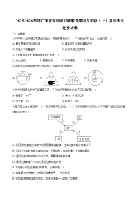 2025-2026学年广东省深圳市红岭教育集团九年级（上）期中化学试卷（含答案）