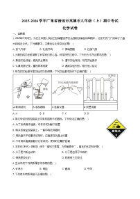 2025-2026学年广东省清远市英德市九年级（上）期中化学试卷（含答案）
