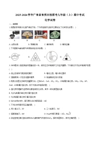 2025-2026学年广东省东莞市校联考九年级（上）期中化学试卷（含答案）