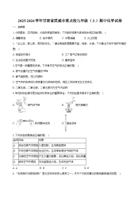 2025-2026学年甘肃省武威市重点校九年级（上）期中化学试卷（含答案）