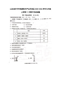 山东省济宁市高新技术产业开发区2025-2026学年九年级上学期11月期中考试（扫描版）化学试卷