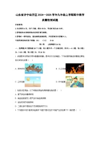 山东省济宁经开区2024--2025学年九年级上学期期中教学质量检测化学试卷（学生版）