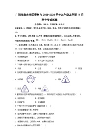 广西壮族自治区柳州市2025-2026学年九年级上学期11月期中考试化学试卷（学生版）