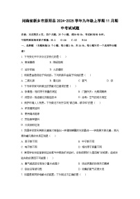 河南省新乡市原阳县2024-2025学年九年级上学期11月期中考试化学试题（学生版）