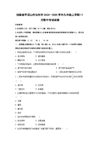 河南省平顶山市汝州市2024--2025学年九年级上学期11月期中考试化学试卷（学生版）