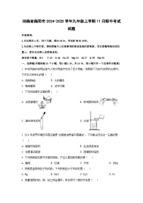 河南省南阳市2024-2025学年九年级上学期11月期中考试化学试题（学生版）