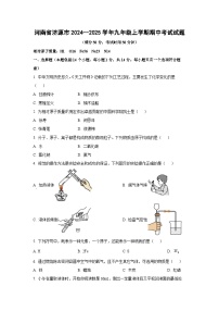 河南省济源市2024--2025学年九年级上学期期中考试化学试题（学生版）