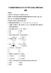 广东省韶关市新丰县2025-2026学年九年级上学期中考试化学试卷（学生版）