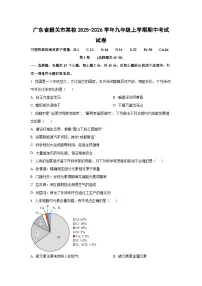 广东省韶关市某校2025-2026学年九年级上学期期中考试化学试卷（学生版）
