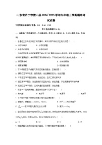 山东省济宁市微山县2024~2025学年九年级上学期期中考试化学试卷（学生版）