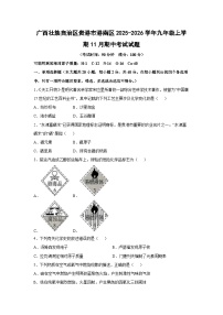 广西壮族自治区贵港市港南区2025-2026学年九年级上学期11月期中考试化学试卷（学生版）