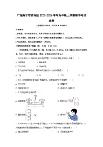 广西南宁市武鸣区2025-2026学年九年级上学期期中考试化学试卷（学生版）