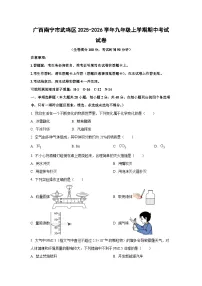 广西南宁市武鸣区2025-2026学年九年级上学期期中考试化学试卷（学生版）