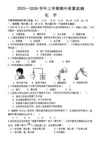 河南省驻马店市驿城区两校联考2025-2026学年九年级上学期期中考试化学试卷