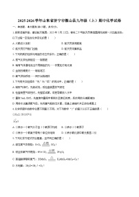 2025-2026学年山东省济宁市微山县九年级（上）期中化学试卷-自定义类型