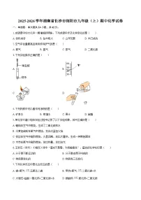 2025-2026学年湖南省长沙市浏阳市九年级（上）期中化学试卷-自定义类型