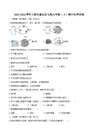 2025-2026学年上海市嘉定区七校九年级（上）期中化学试卷-自定义类型