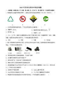 2025年四川省自贡市中考化学试题（含答案）