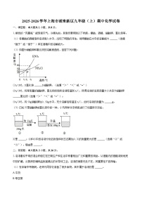 2025-2026学年上海市浦东新区九年级（上）期中化学试卷-自定义类型