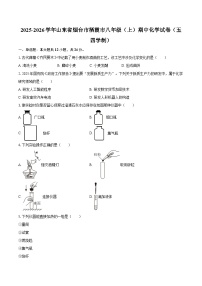 2025-2026学年山东省烟台市栖霞市八年级（上）期中化学试卷（五四学制）-自定义类型
